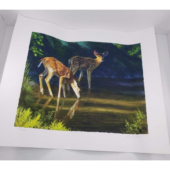 Pat McManus Fawn Baby Deer Art Print Numbered - Picture 2 of 8
